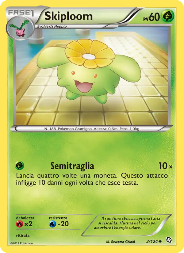 Skiploom