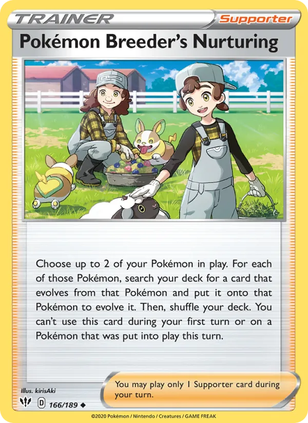 Premura dell'Allevapokémon