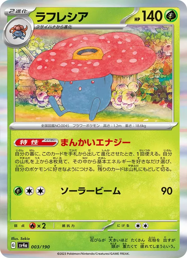 Maractus