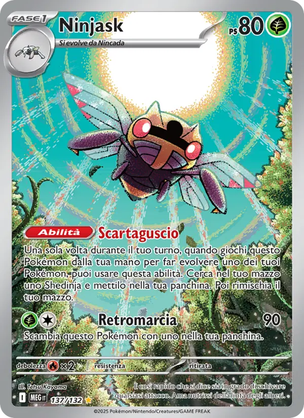 Ninjask