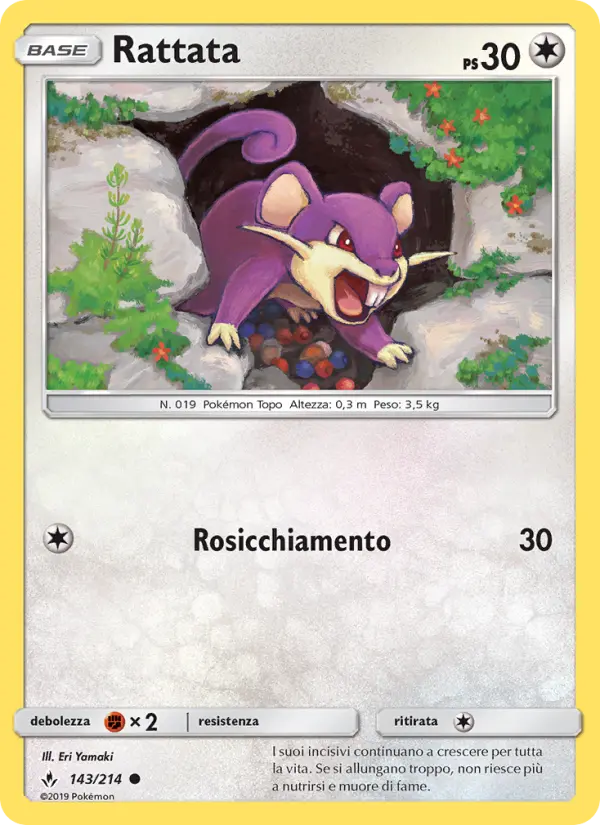 Rattata