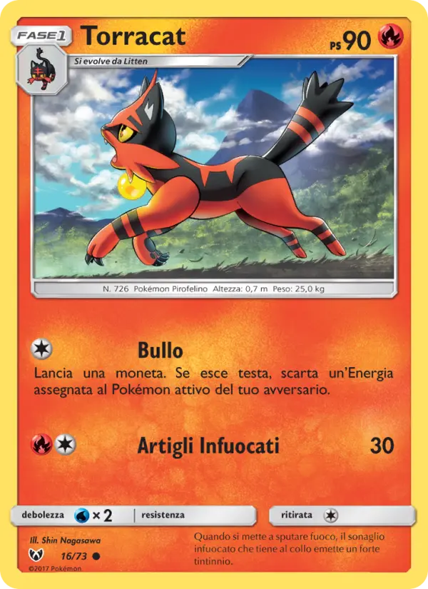 Torracat