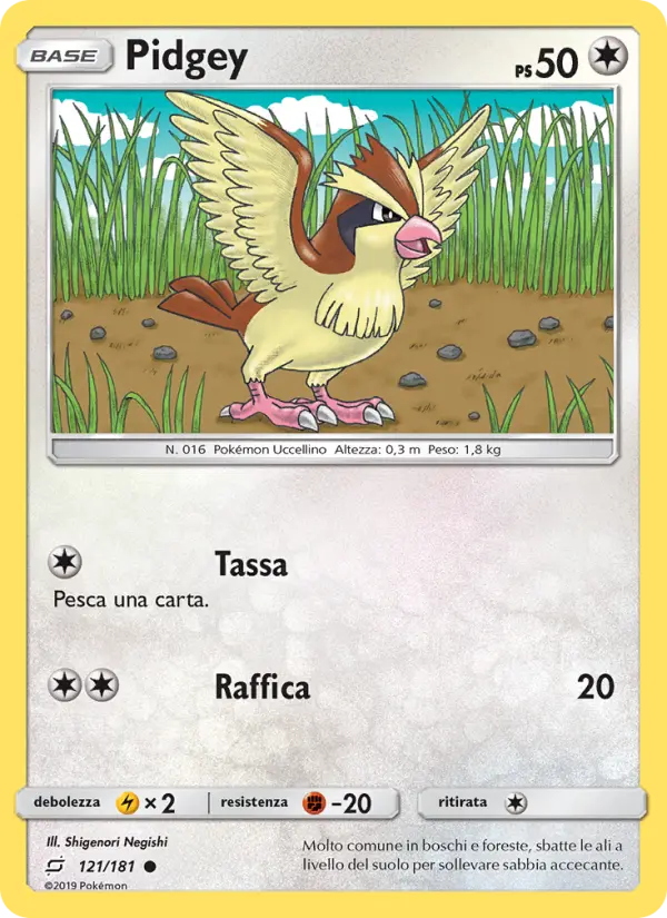 Pidgey