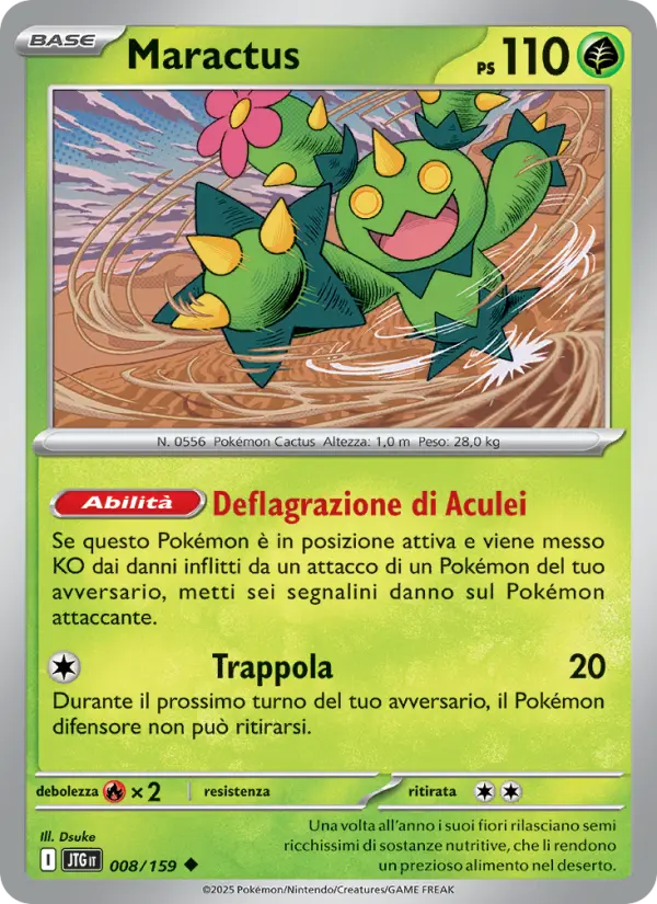 Maractus