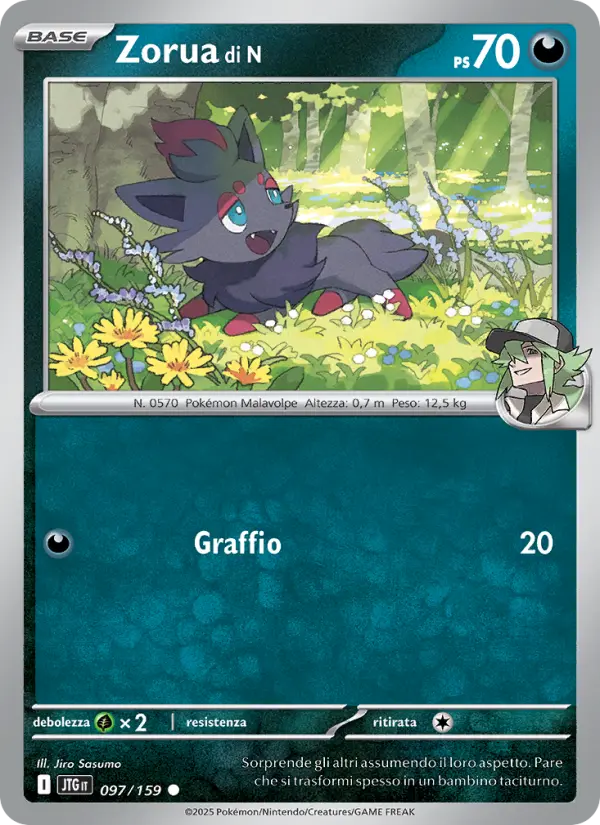 Zorua di N