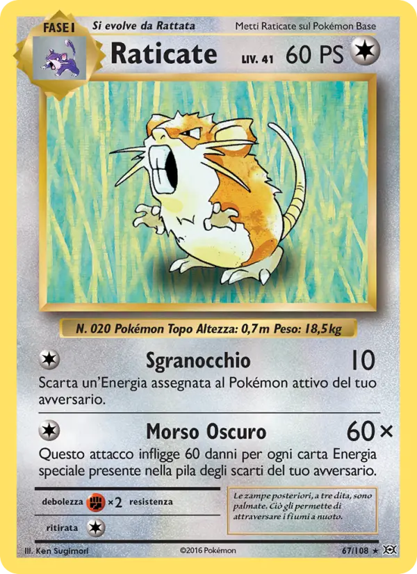 Raticate