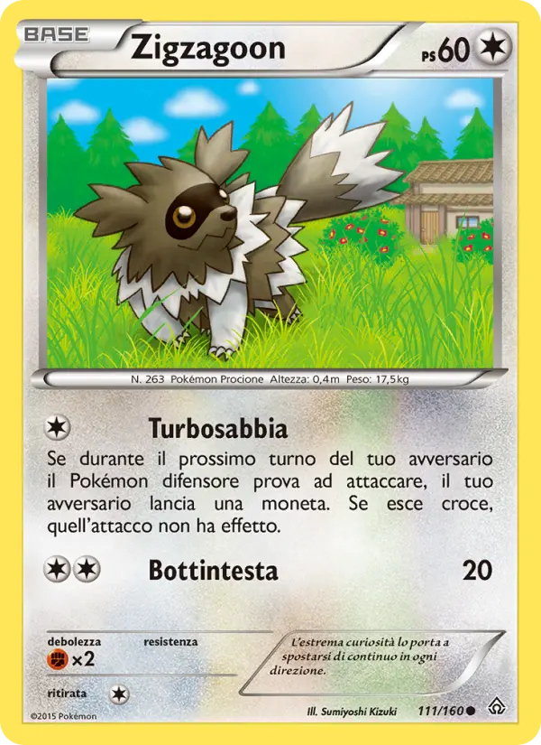 Zigzagoon