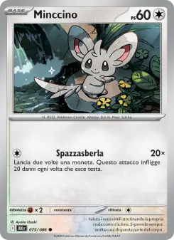 Minccino