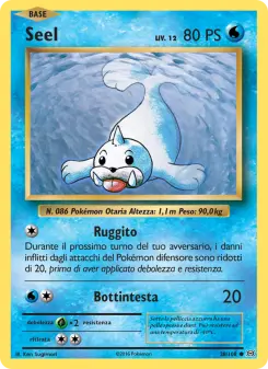 Seel
